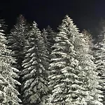 In Nahe Wald