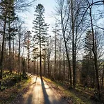 In Nahe Wald Appartamento Madfeld