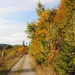 In Nahe Wald Madfeld