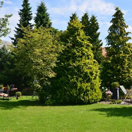 In Nahe Wald Апартаменты