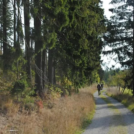 In Nahe Wald Madfeld