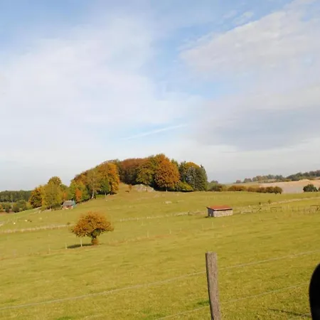 In Nahe Wald Апартаменты *