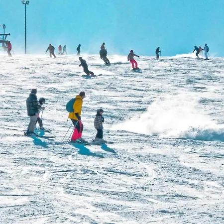 In Nahe Wald Madfeld