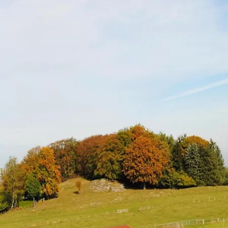 In Nahe Wald