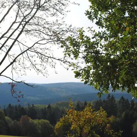 In Nahe Wald *