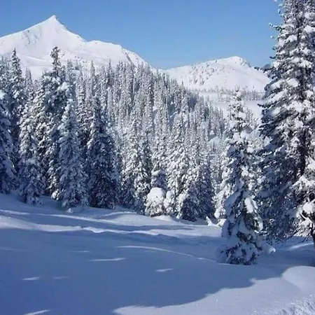 In Nahe Wald Апартаменты *