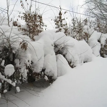 Апартаменты In Nahe Wald Madfeld