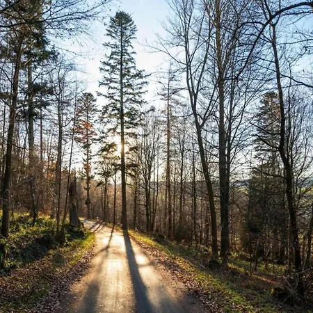 In Nahe Wald Апартаменты Madfeld