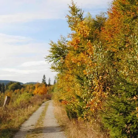 In Nahe Wald Madfeld