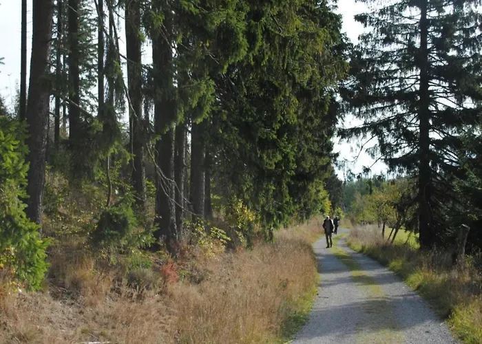 In Nahe Wald Madfeld