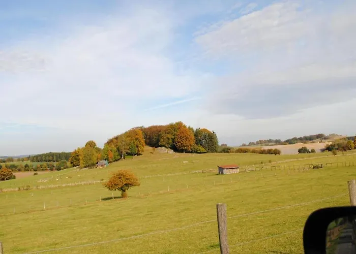 In Nahe Wald Daire *