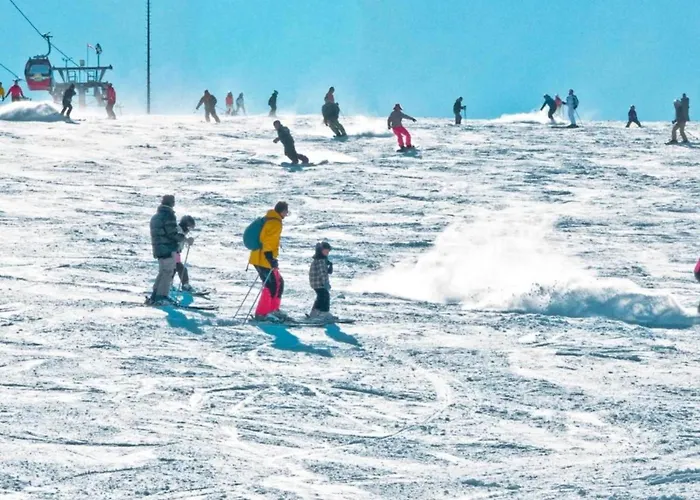 In Nahe Wald Madfeld