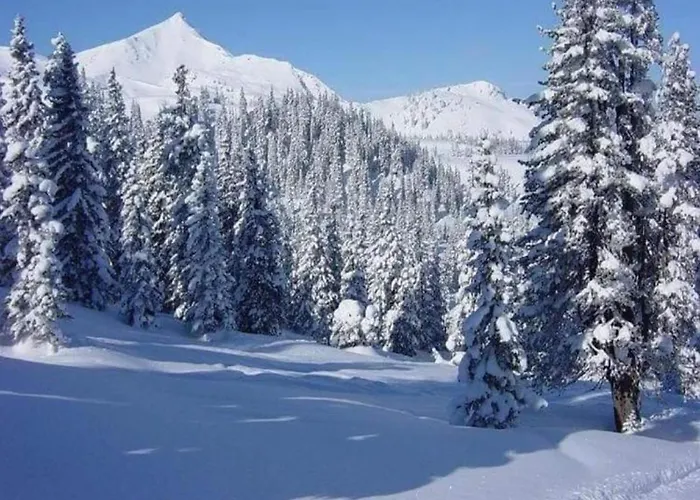 In Nahe Wald Daire *