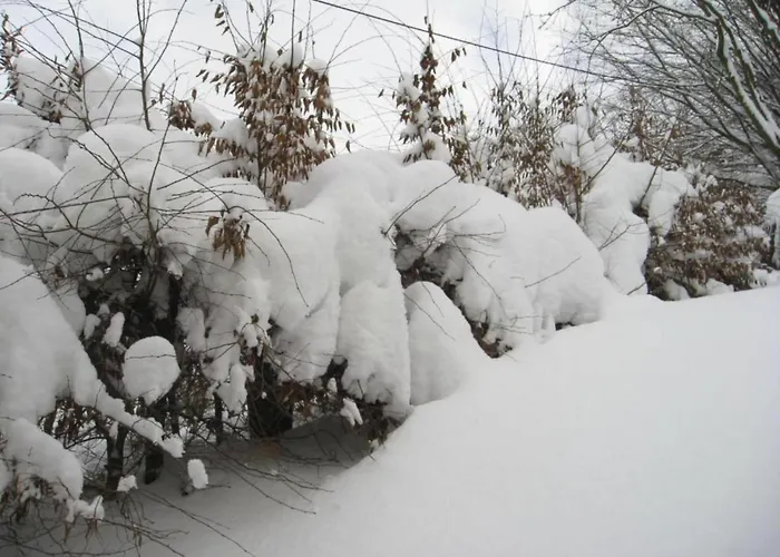 Daire In Nahe Wald Madfeld