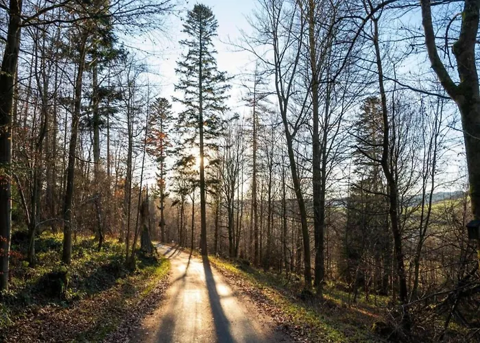 In Nahe Wald Daire Madfeld
