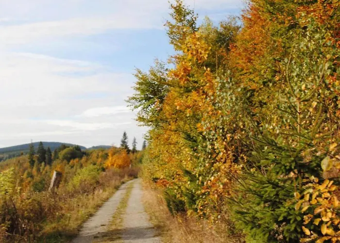 In Nahe Wald Madfeld
